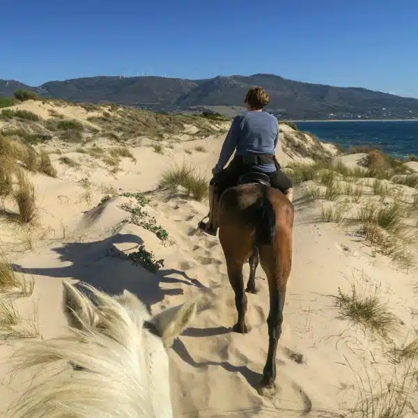 Horse Riding, Multi-Activity camp