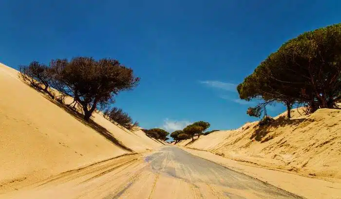 Punta Paloma,white sand dune in Tarifa, Spain