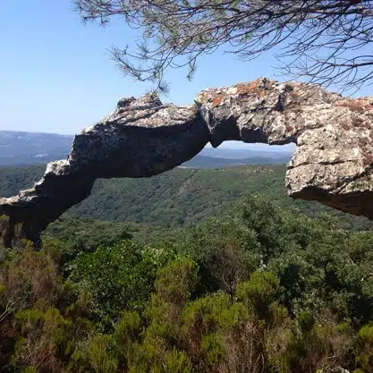 Amazing view from The Parque Natural Los Alcornocales Tarifa, Spain