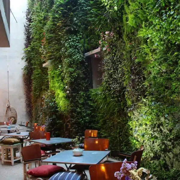 Hall d'entrée avec mur végétal
