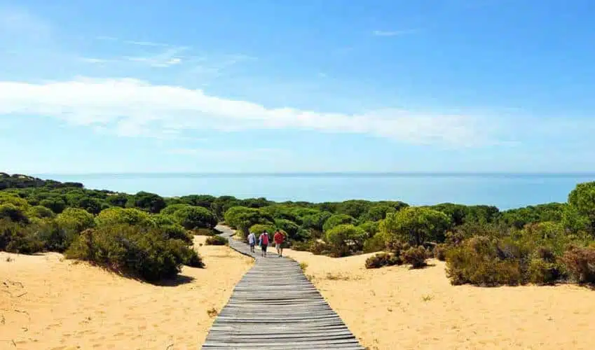 Doñana Natural Park In Andalusia
