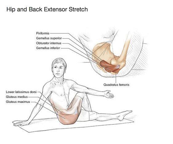 Beneficios del yoga para las caderas y la espalda