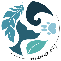 Nereide Association Ocean Protection