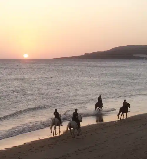 Horse riding on the beach of Tarifa