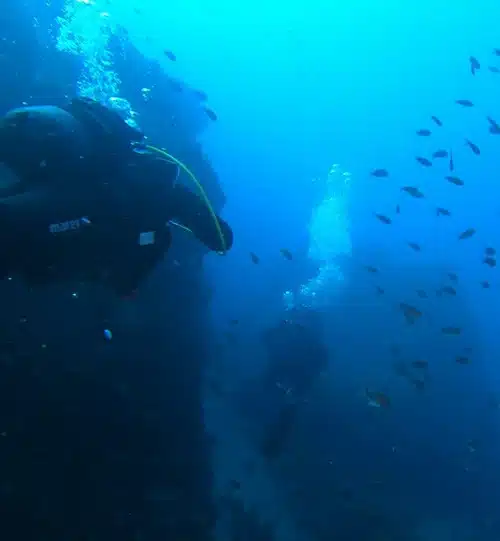 Scuba Diving Tarifa