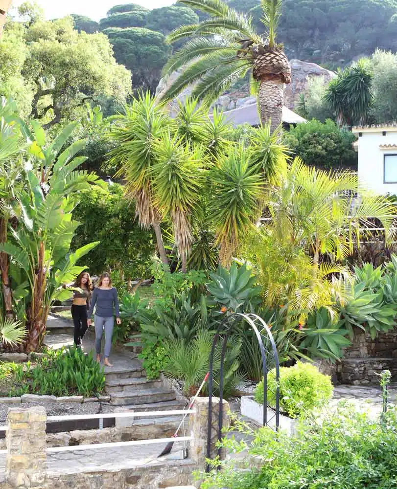 Garden view of the Yoga retreat Tarifa