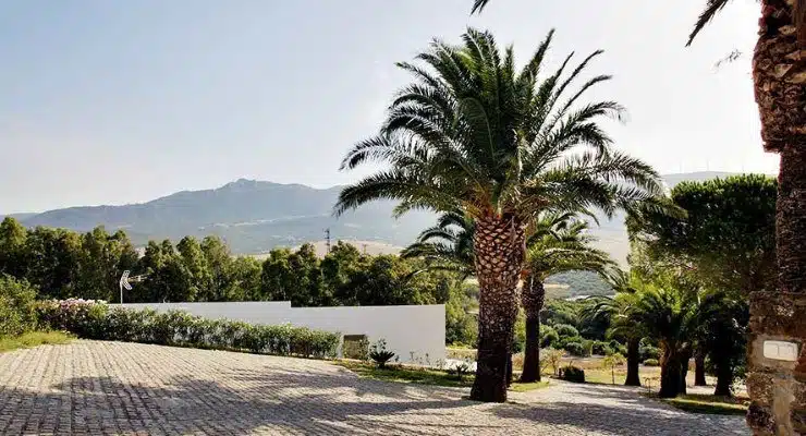 Jardín de la villa de alojamientos vacacionales en Tarifa